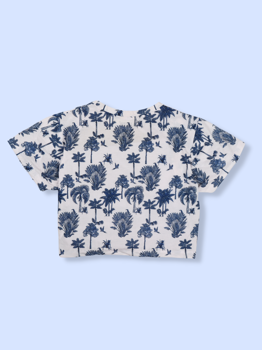 Women Blue Printed Poly cotton Crop Top