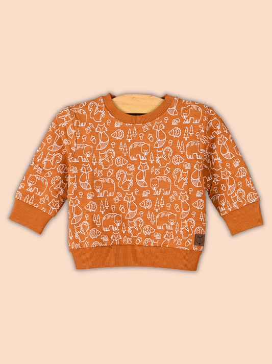 Kids Full Sleeve Printed Sweatshirt