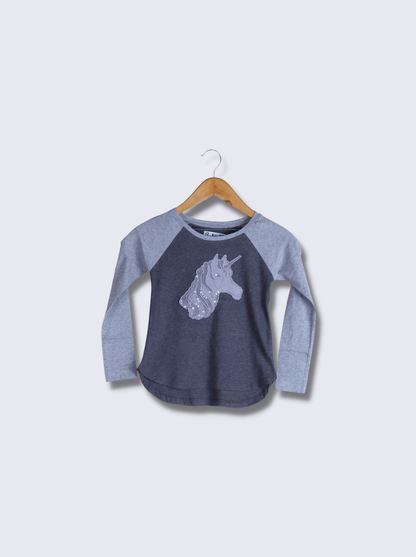 Kids Grey Full sleeve, Raglan Sleeve Embroidered Melange Jersey T-Shirt